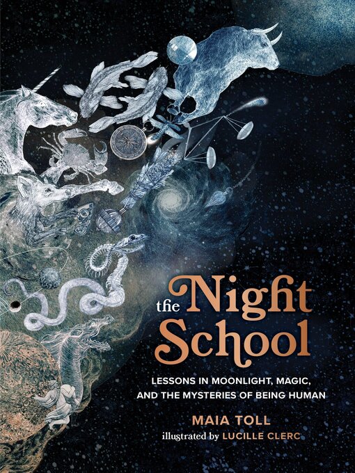 Title details for The Night School by Maia Toll - Available